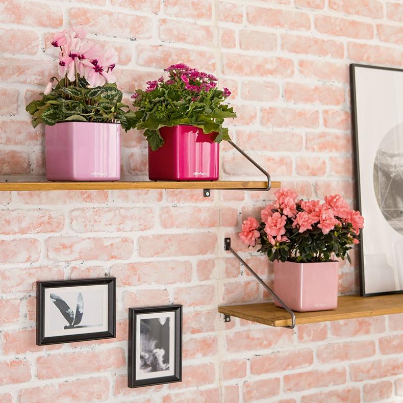 le_cube-glossy-kiss14_product_addi_02